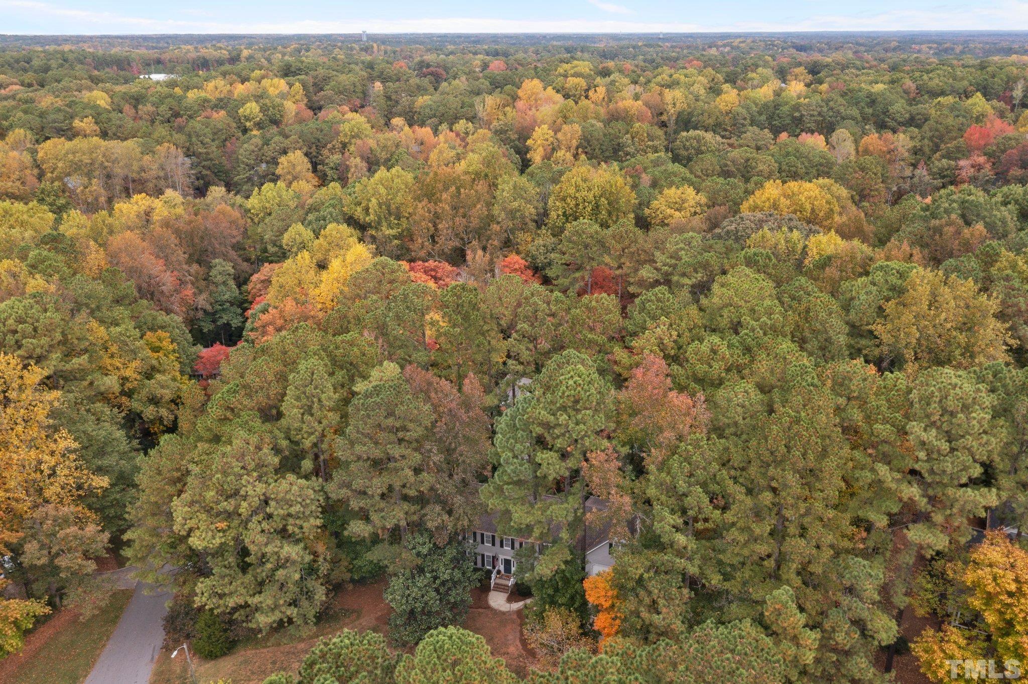 8709 Langtree Lane Raleigh, NC 27613 - Photo 44 of 49 an aerial view of forest