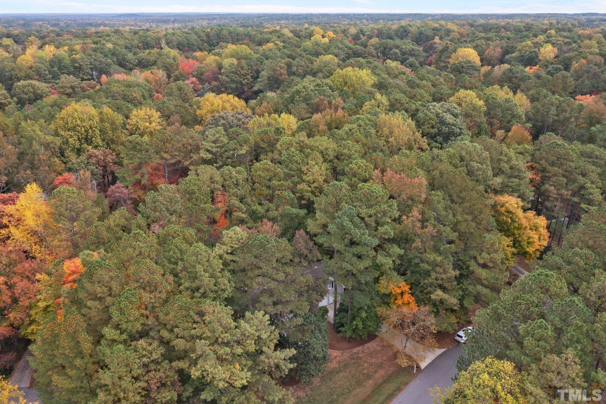 8709 Langtree Lane Raleigh, NC 27613 - Photo 45 of 49 an aerial view of forest