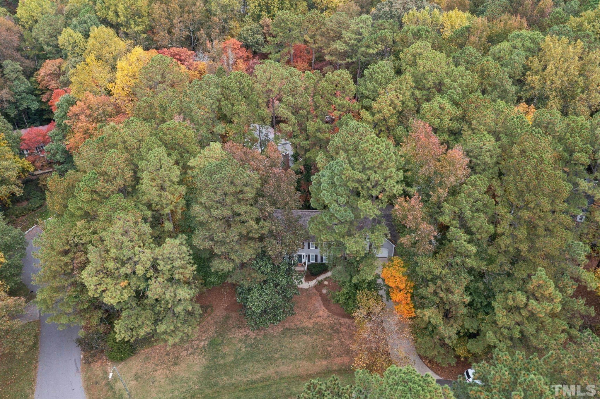 8709 Langtree Lane Raleigh, NC 27613 - Photo 46 of 49 a view of a yard with plants and large trees