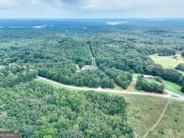 an aerial view of residential house with green space