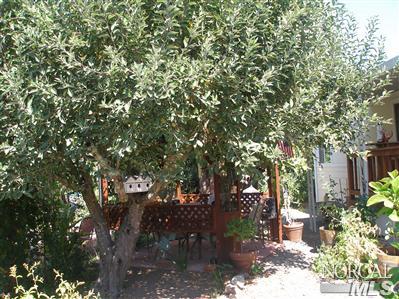 78 Cardinal Way, Unit 57 Santa Rosa, CA 95409 - Photo 8 of 11 gazebo shaded by an apple tree