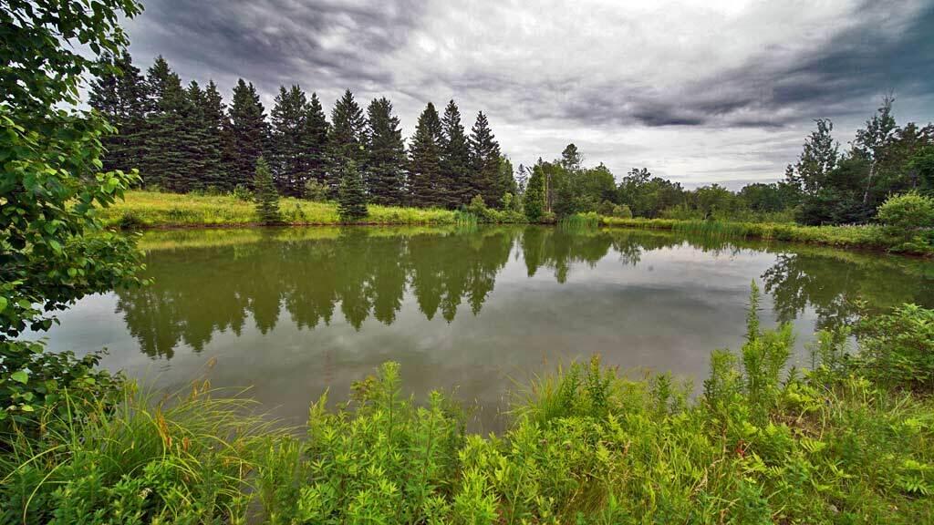 60 Smyrna Center Road Smyrna, ME 04780 - Photo 5 of 52 pond-60-smyrna-center-rd