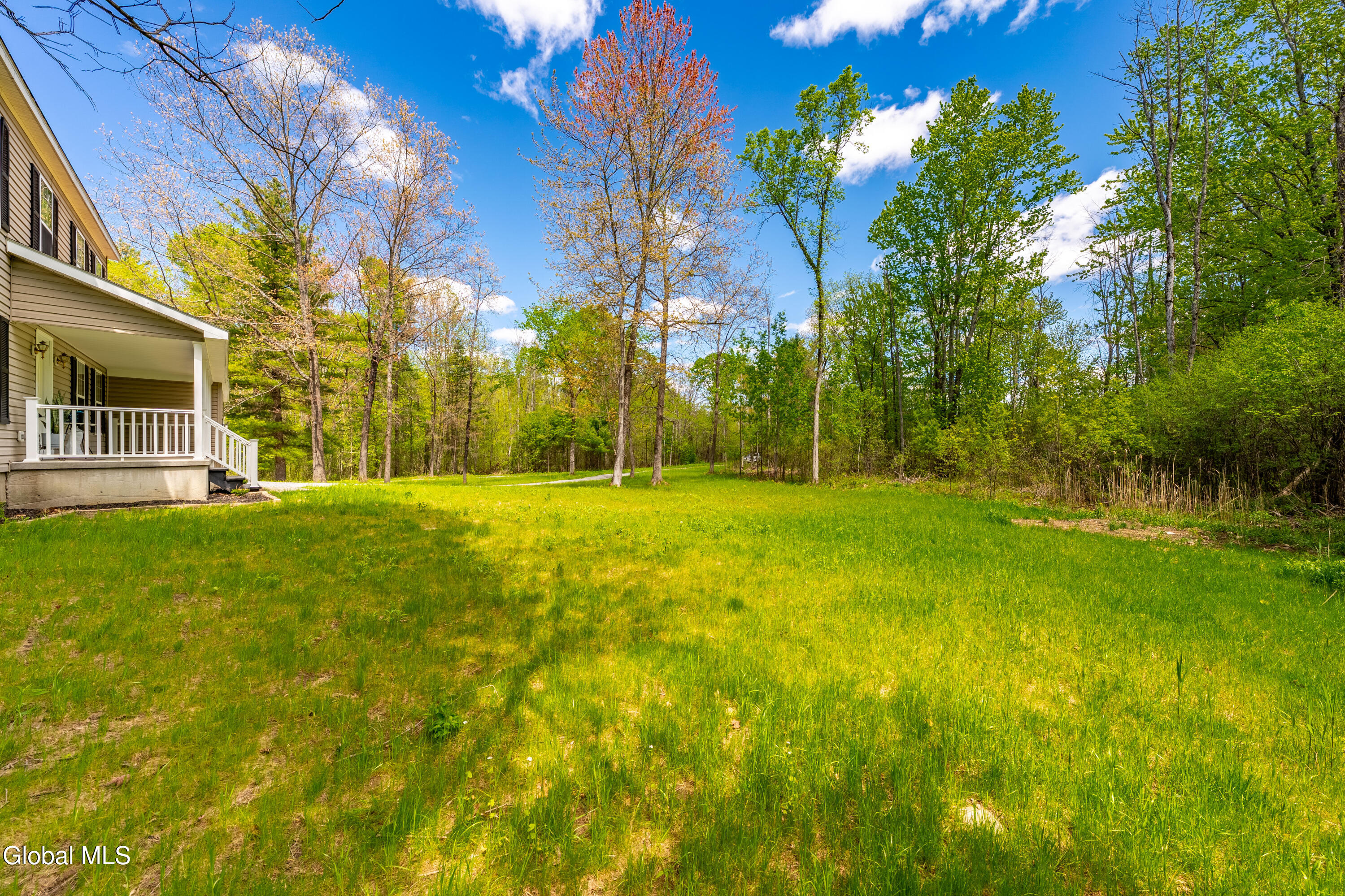 149 White Road Ballston Spa, NY 12020 - Photo 4 of 26 DSC05414-HDR