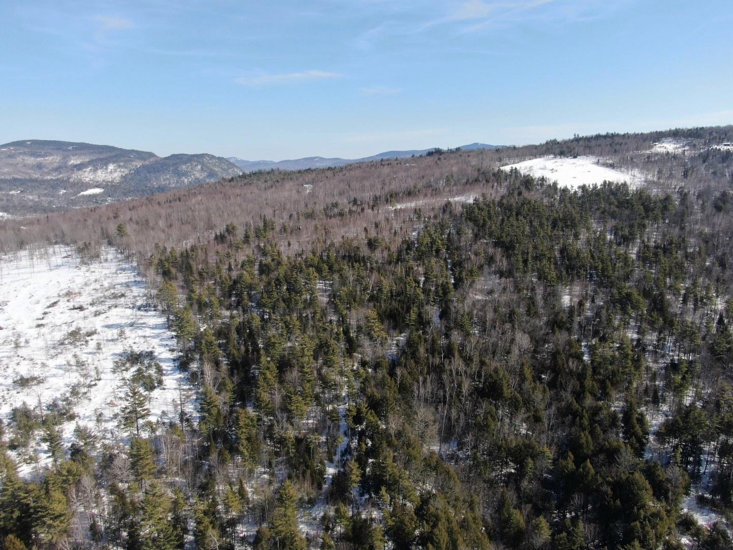 Tbd Tbd Holeman Road Rumford, ME 04276 - Photo 12 of 19 org_3d01c71edd2e2f2e_1582532554000_1440x