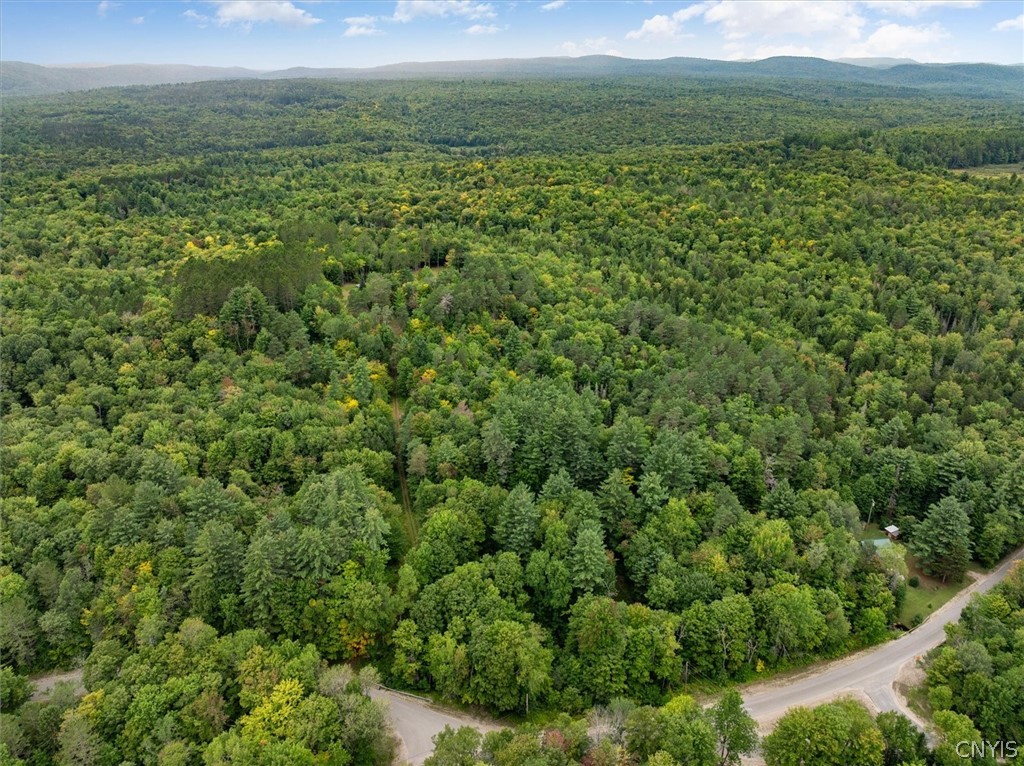 0 Piseco Road Stratford, NY 13470 - Photo 13 of 15 Gallery Image 13