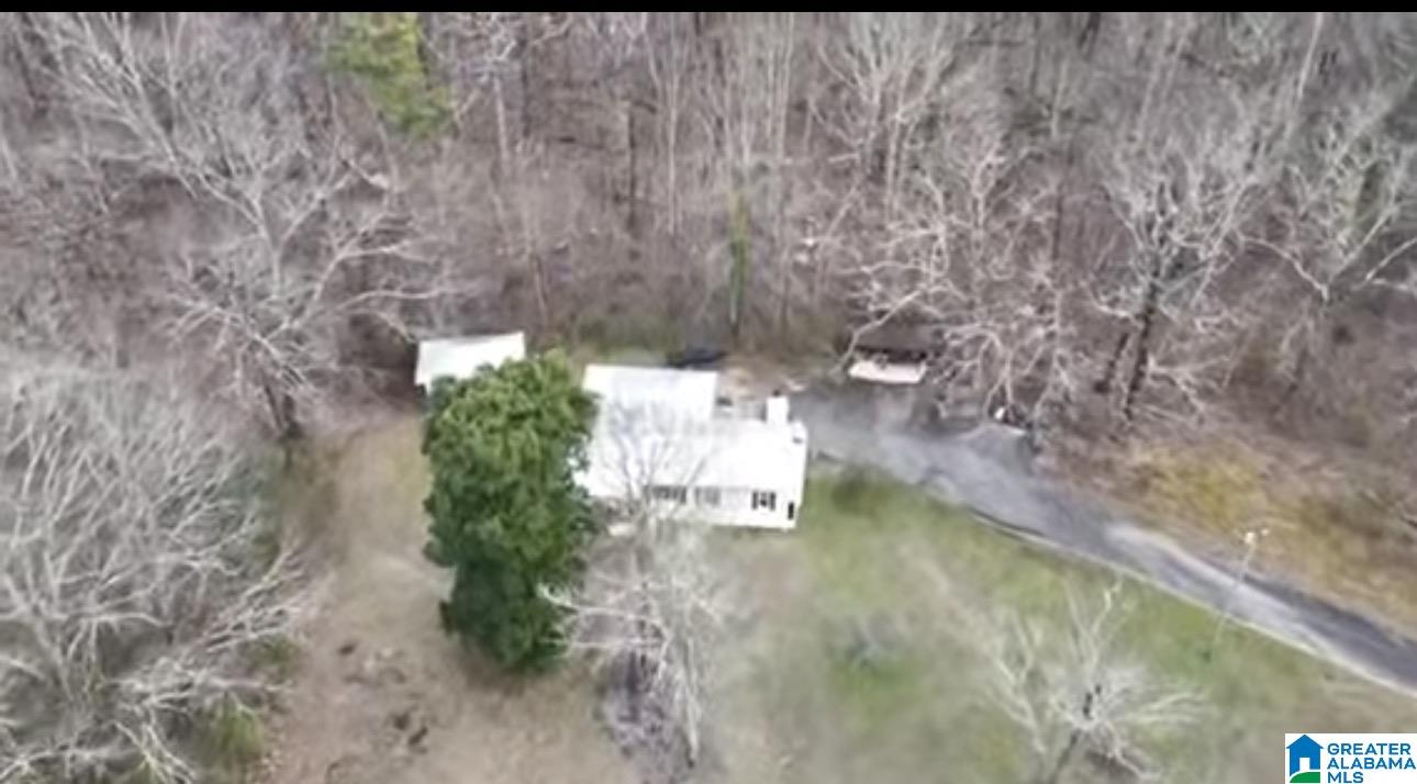 544 Inland Lake Road Springville, AL 35146 - Photo 39 of 40 Gallery Image 39