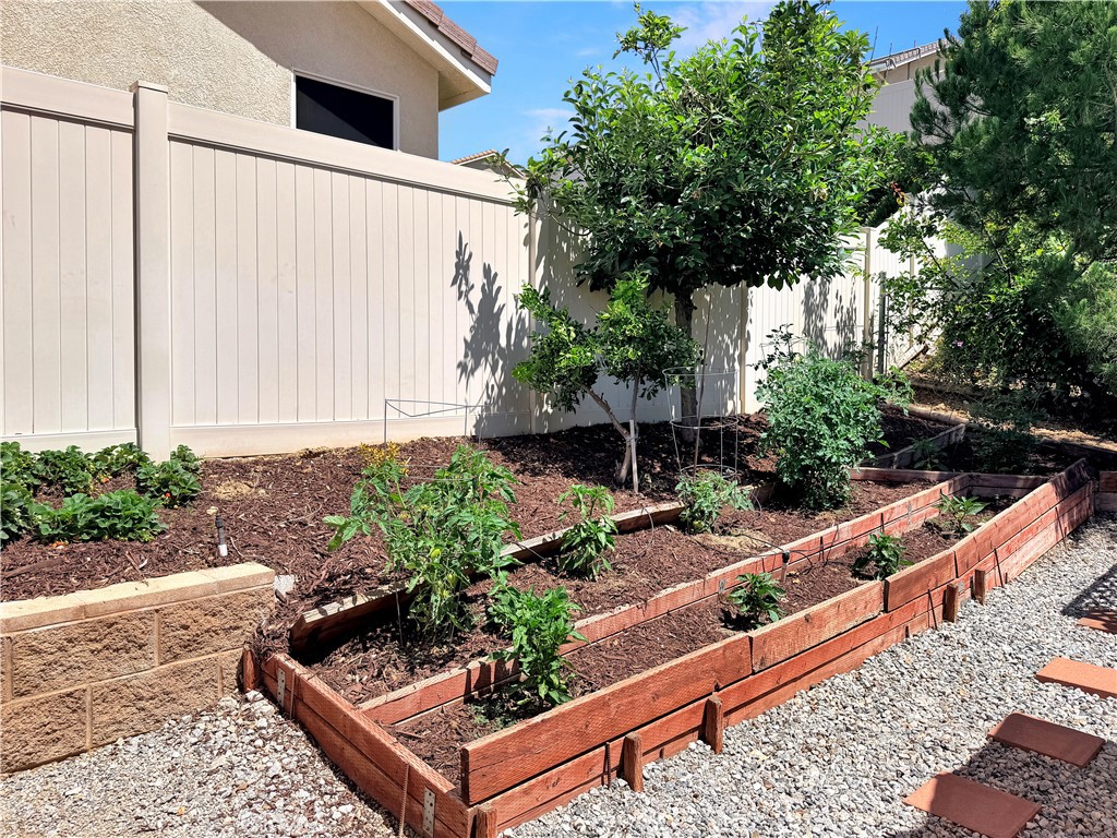 166 Fox Lane Calimesa, CA 92320 - Photo 74 of 76 Vegetable garden delights!