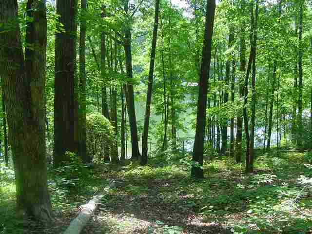 804 Long Point Drive, Unit CONEROSS POINT Seneca, SC 29678 - Photo 3 of 11 Gallery Image 3