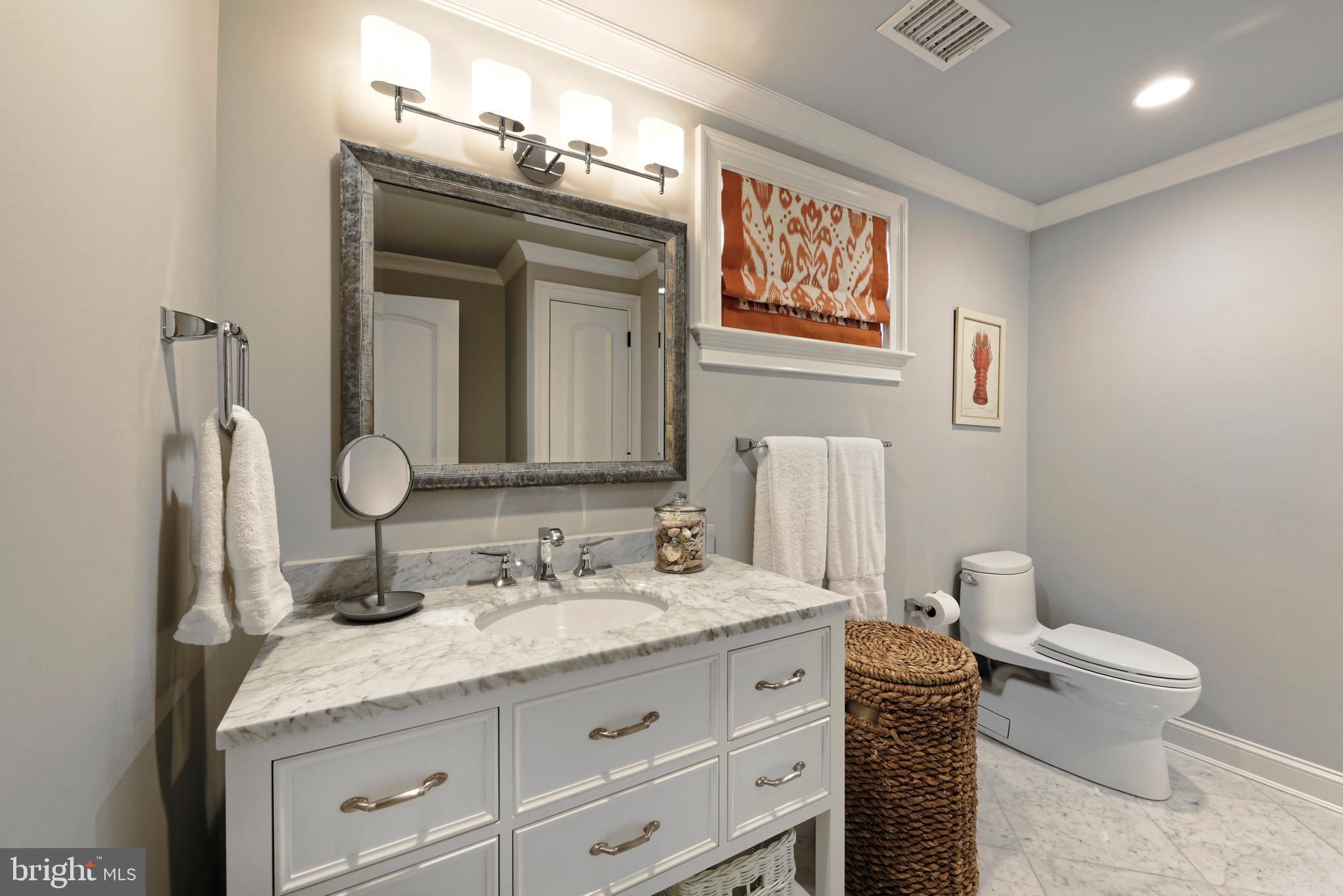 1231 Tottenham Court Reston, VA 20194 - Photo 45 of 86 Lower Guest Suite ensuite bath