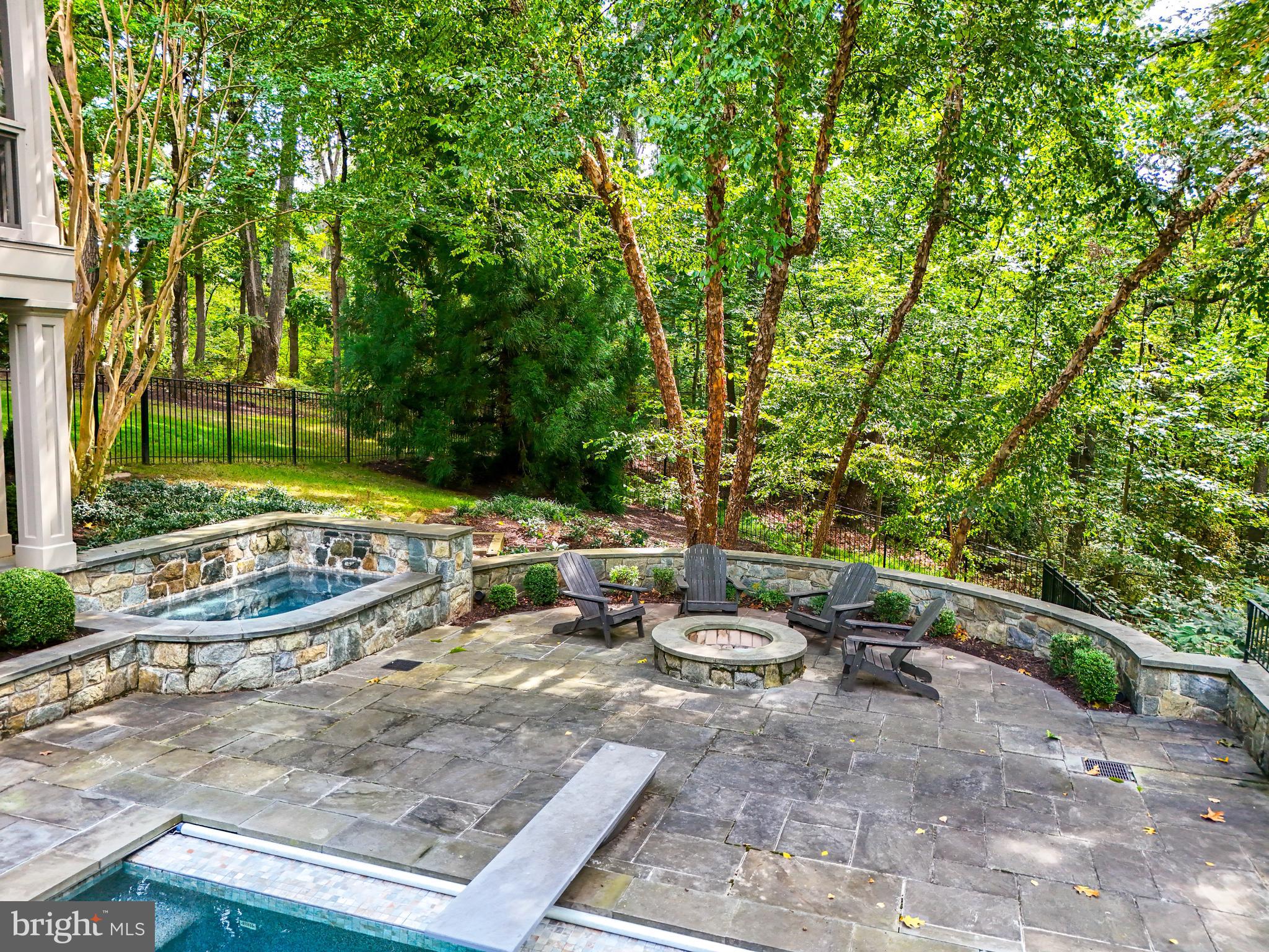 1231 Tottenham Court Reston, VA 20194 - Photo 72 of 86 Spa and Firepit