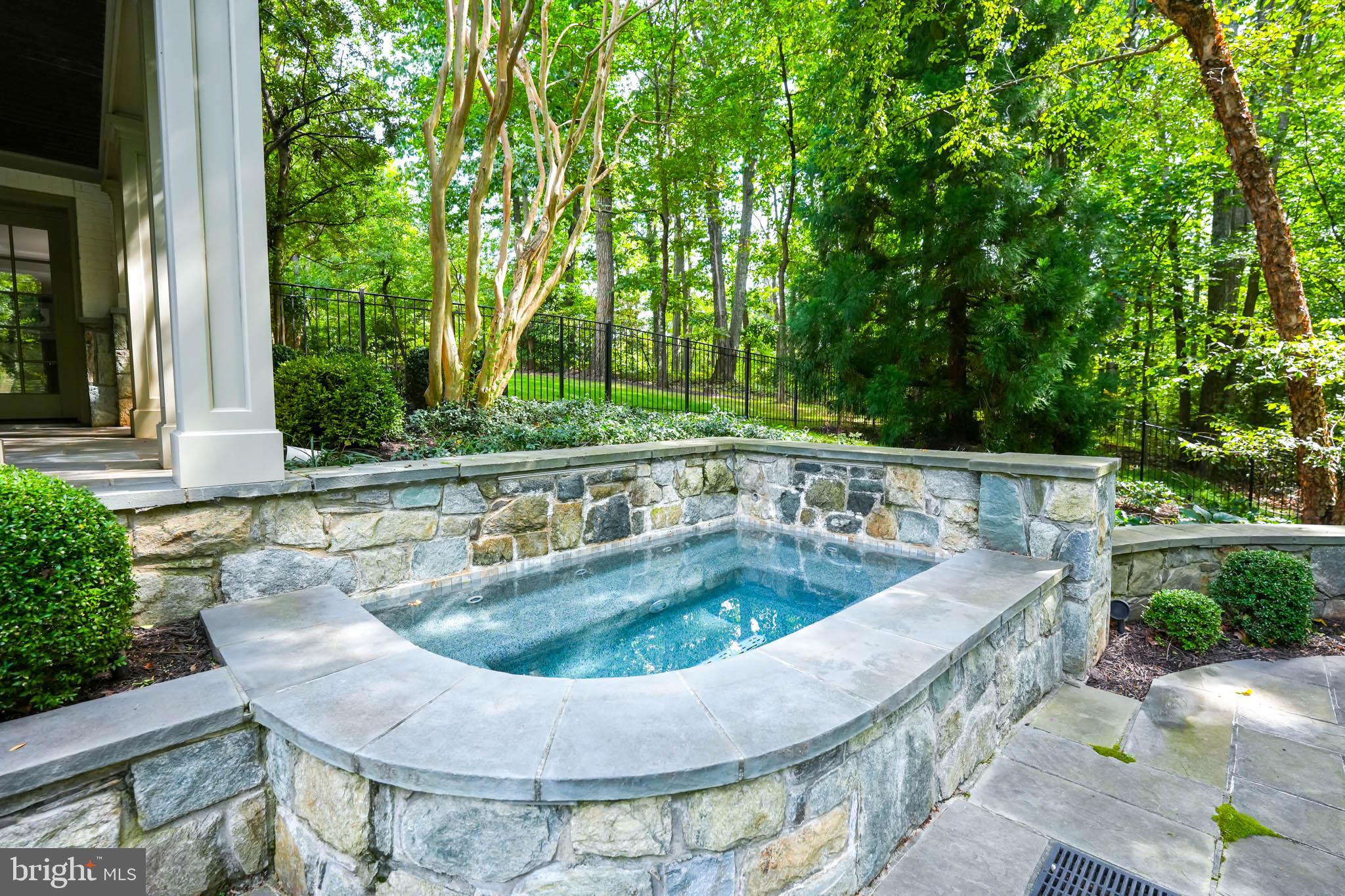 1231 Tottenham Court Reston, VA 20194 - Photo 73 of 86 Outdoor Spa