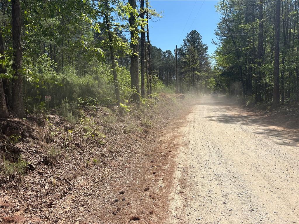 7500 Tyree Road Winston, GA 30187 - Photo 2 of 4