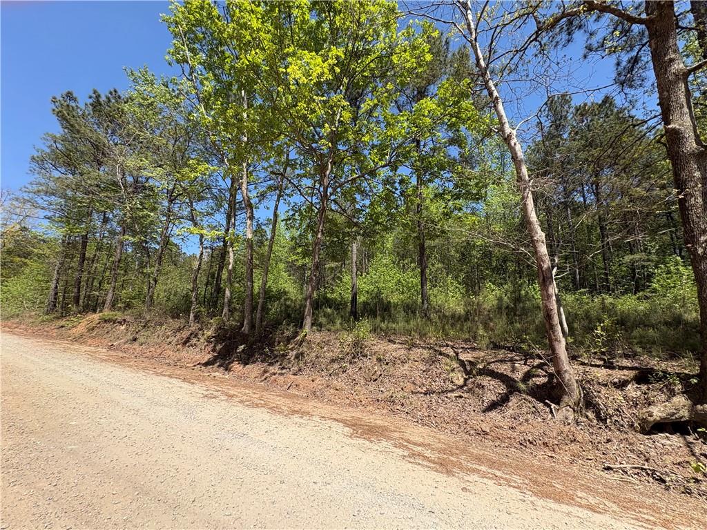 7500 Tyree Road Winston, GA 30187 - Photo 3 of 4