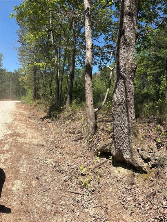 7500 Tyree Road Winston, GA 30187 - Photo 4 of 4