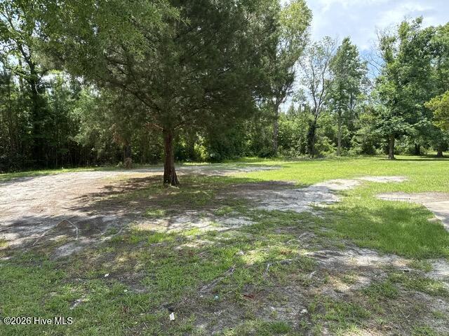 1175 Belangia Road Havelock, NC 28532 - Photo 20 of 20 Yard Front