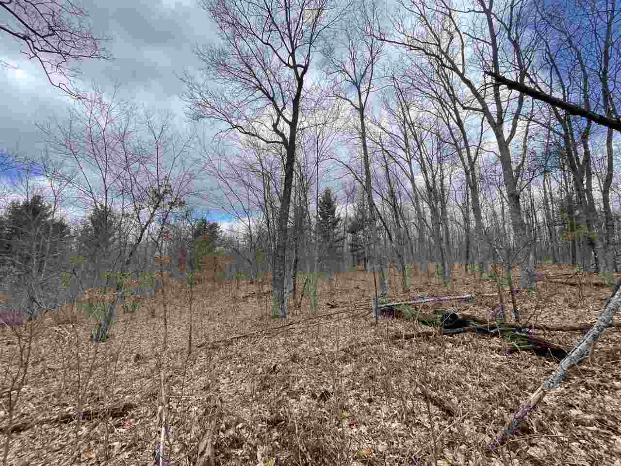 20 East A E Decker Rd Branch Branch, MI 49402 - Photo 9 of 31