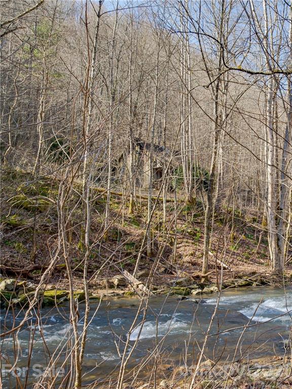50 Wagon Wheel Road Marshall, NC 28753 - Photo 15 of 22 Gallery Image 15
