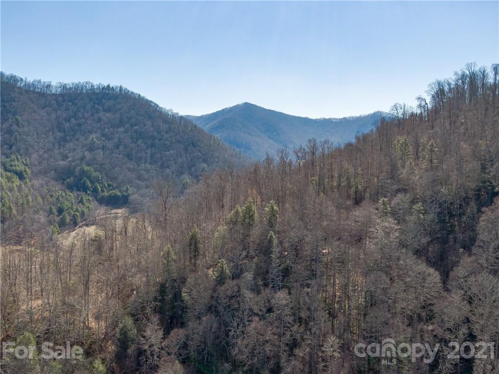 50 Wagon Wheel Road Marshall, NC 28753 - Photo 16 of 22 Gallery Image 16