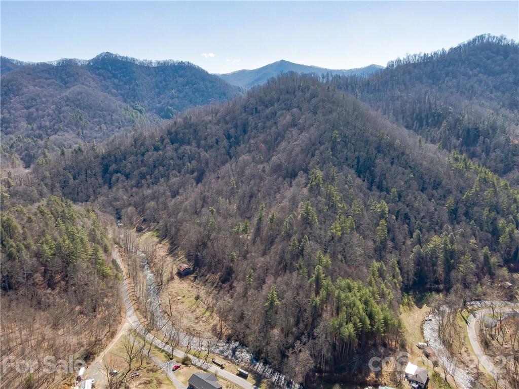 50 Wagon Wheel Road Marshall, NC 28753 - Photo 17 of 22 Gallery Image 17
