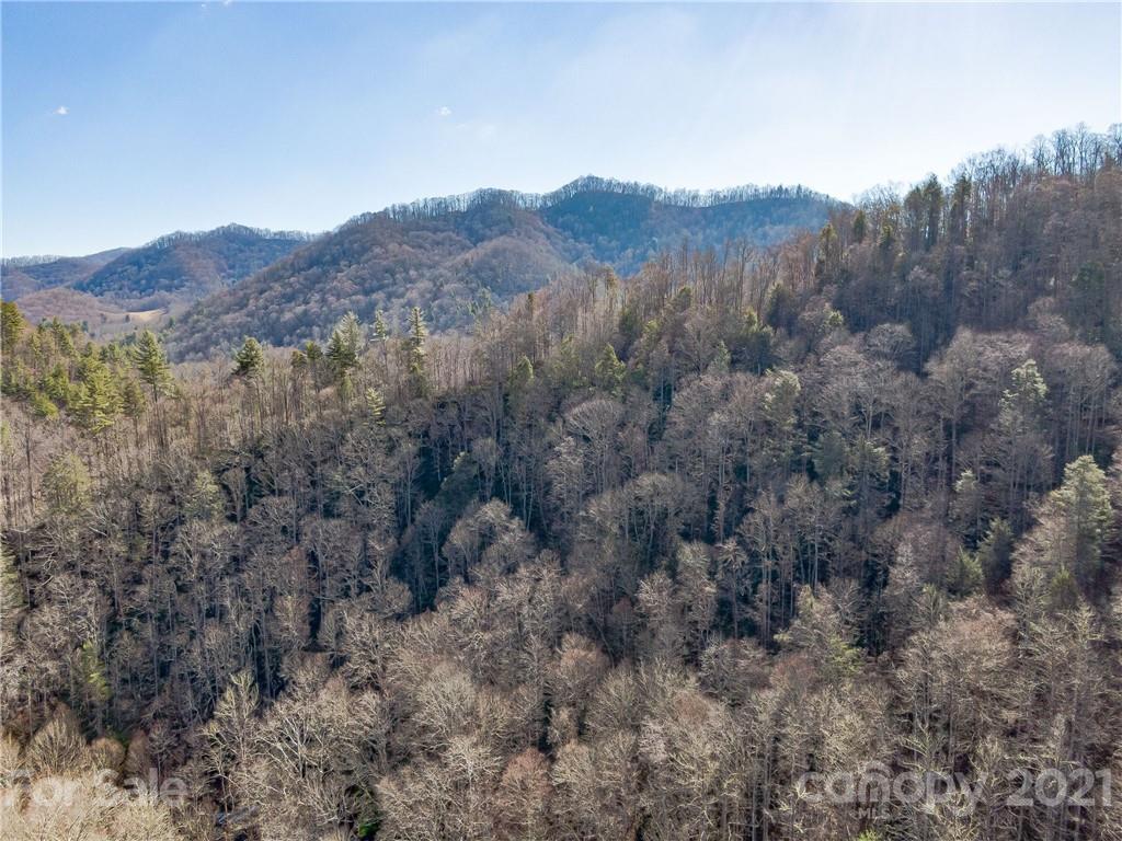 50 Wagon Wheel Road Marshall, NC 28753 - Photo 22 of 22 Gallery Image 22