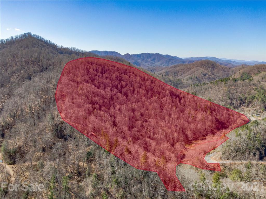 50 Wagon Wheel Road Marshall, NC 28753 - Photo 6 of 22 Gallery Image 6
