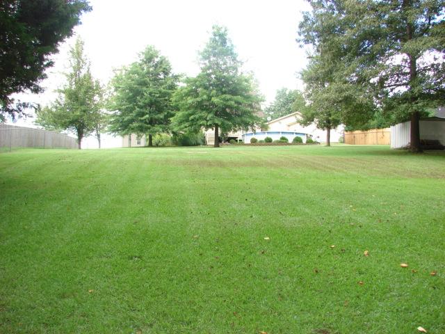 450 Wooten Road Clarksville, TN 37042 - Photo 5 of 20 1.42 acres property goes down into the trees... No back door neighbors! Min to gate 10 on post