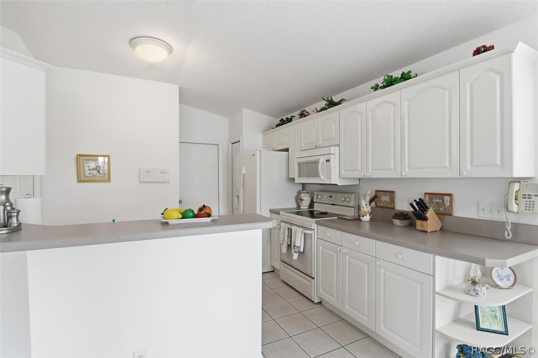 2323 North Andrea Point Lecanto, FL 34461 - Photo 10 of 47