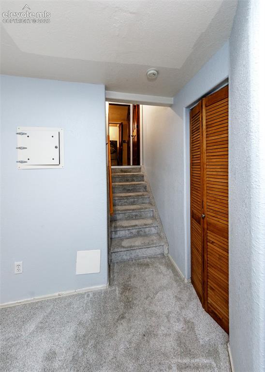 5255 Farm Ridge Place Colorado Springs, CO 80917 - Photo 38 of 48