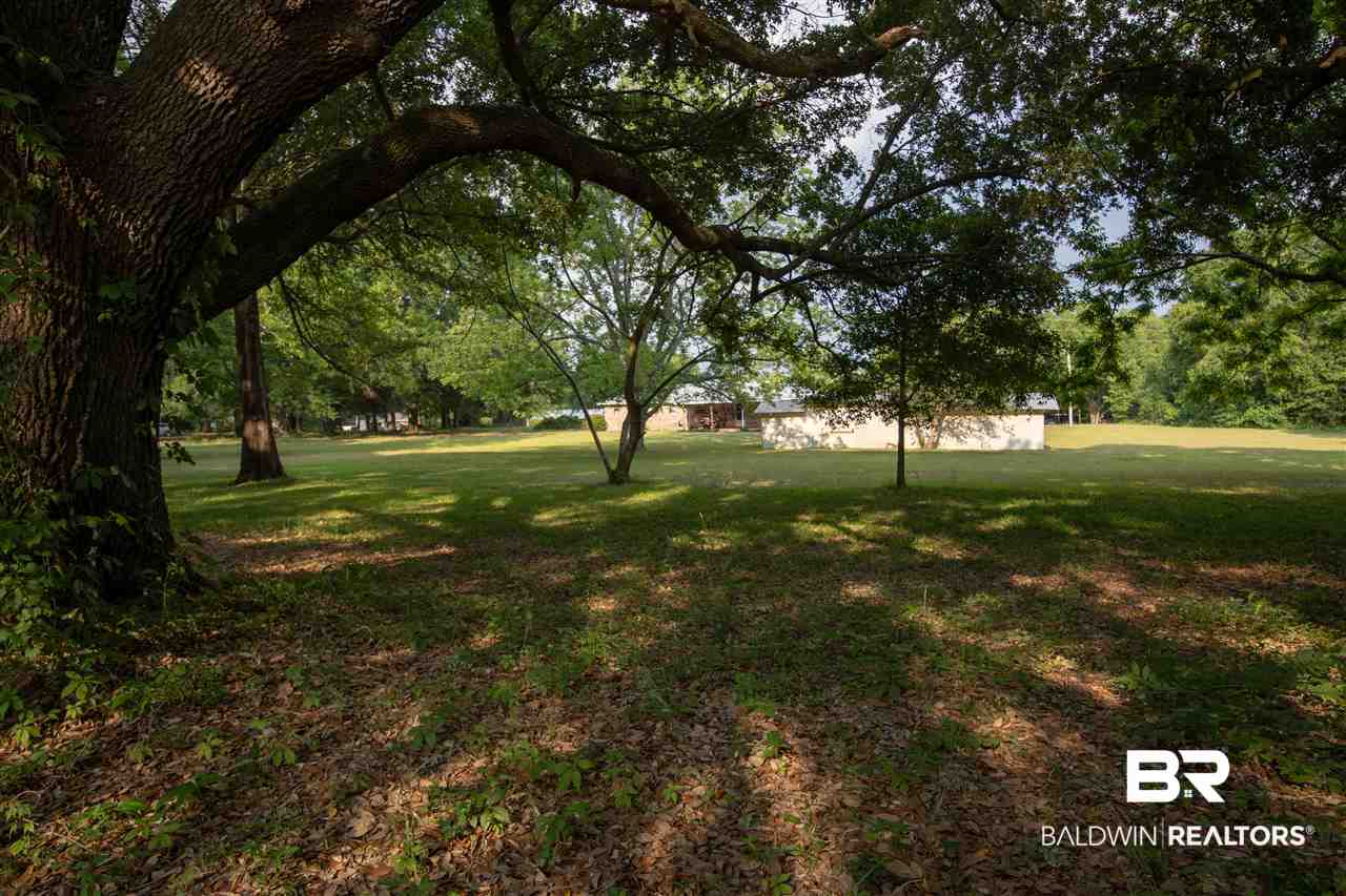 19609 State Highway 181 Fairhope, AL 36532 - Photo 25 of 35 Some Trees