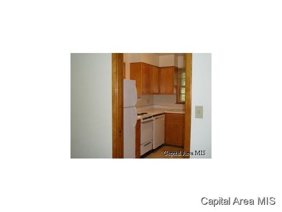 1903 Watch Springfield, IL 62702 - Photo 2 of 5