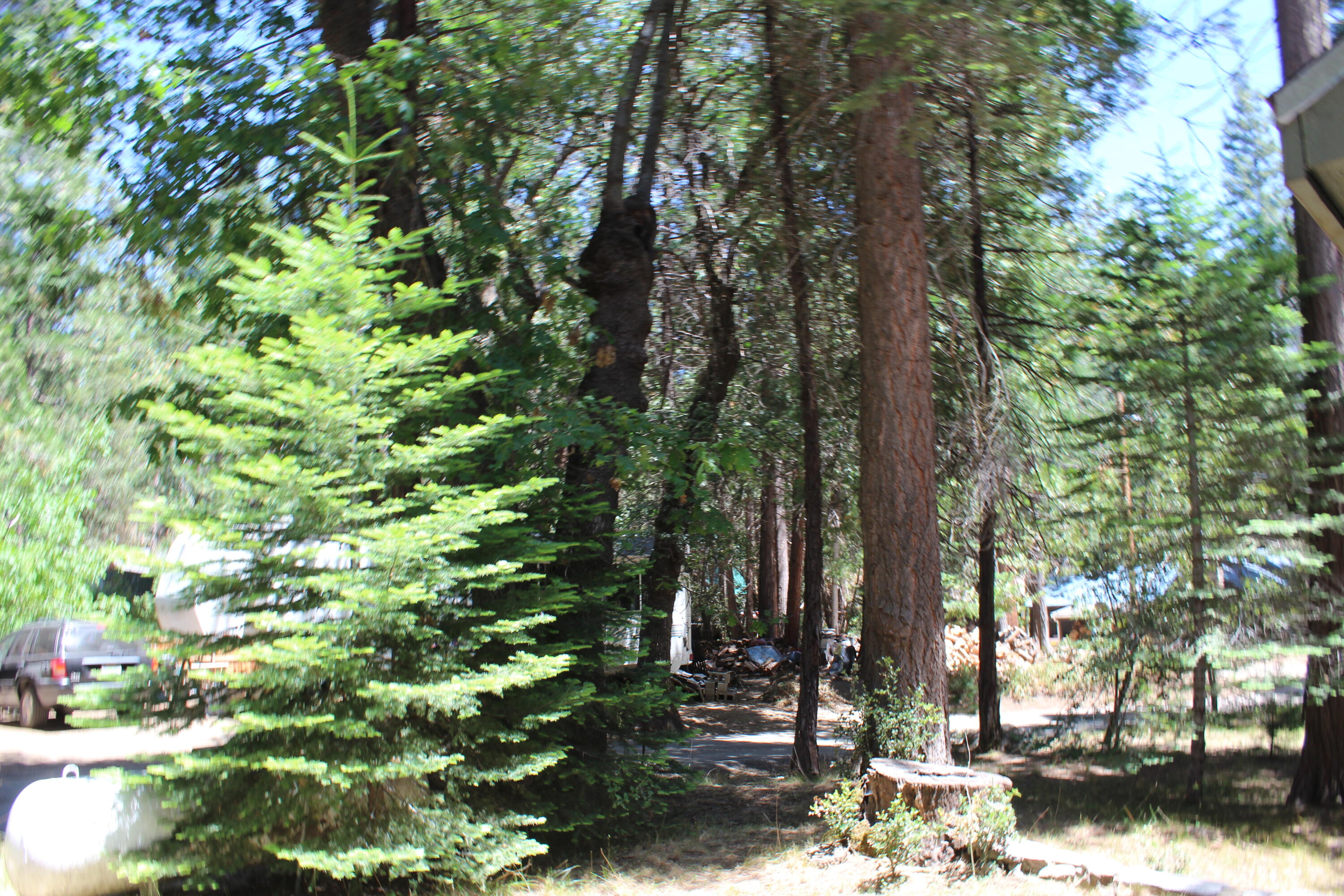 565 Trail End Drive Springville, CA 93265 - Photo 39 of 58 IMG_9590