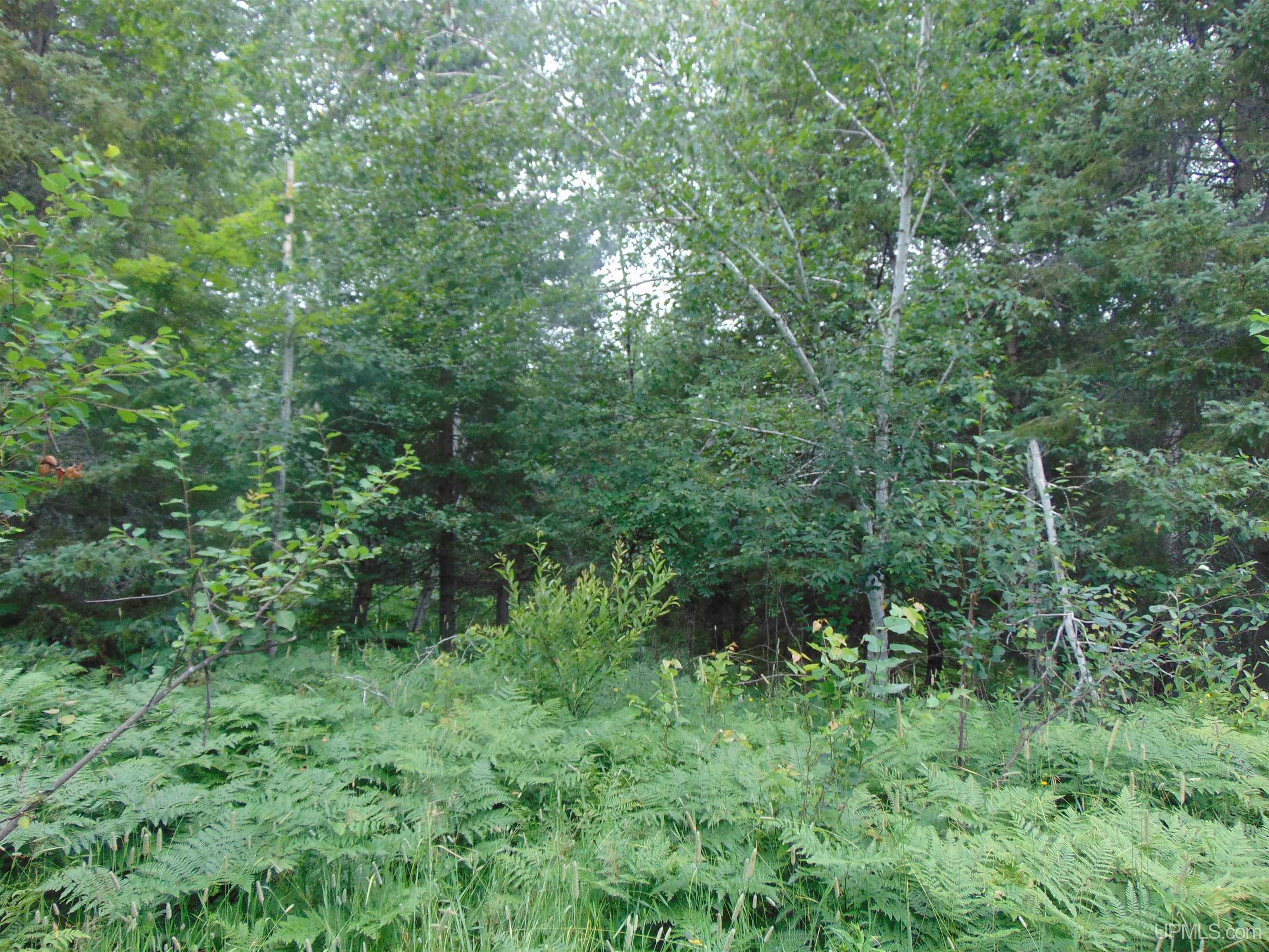 15 Grenlund Road Bruce Crossing, MI 49912 - Photo 16 of 18