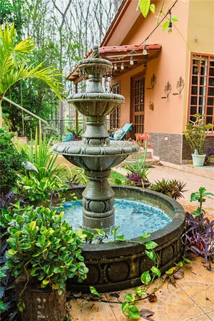 a view of a backyard with potted plants