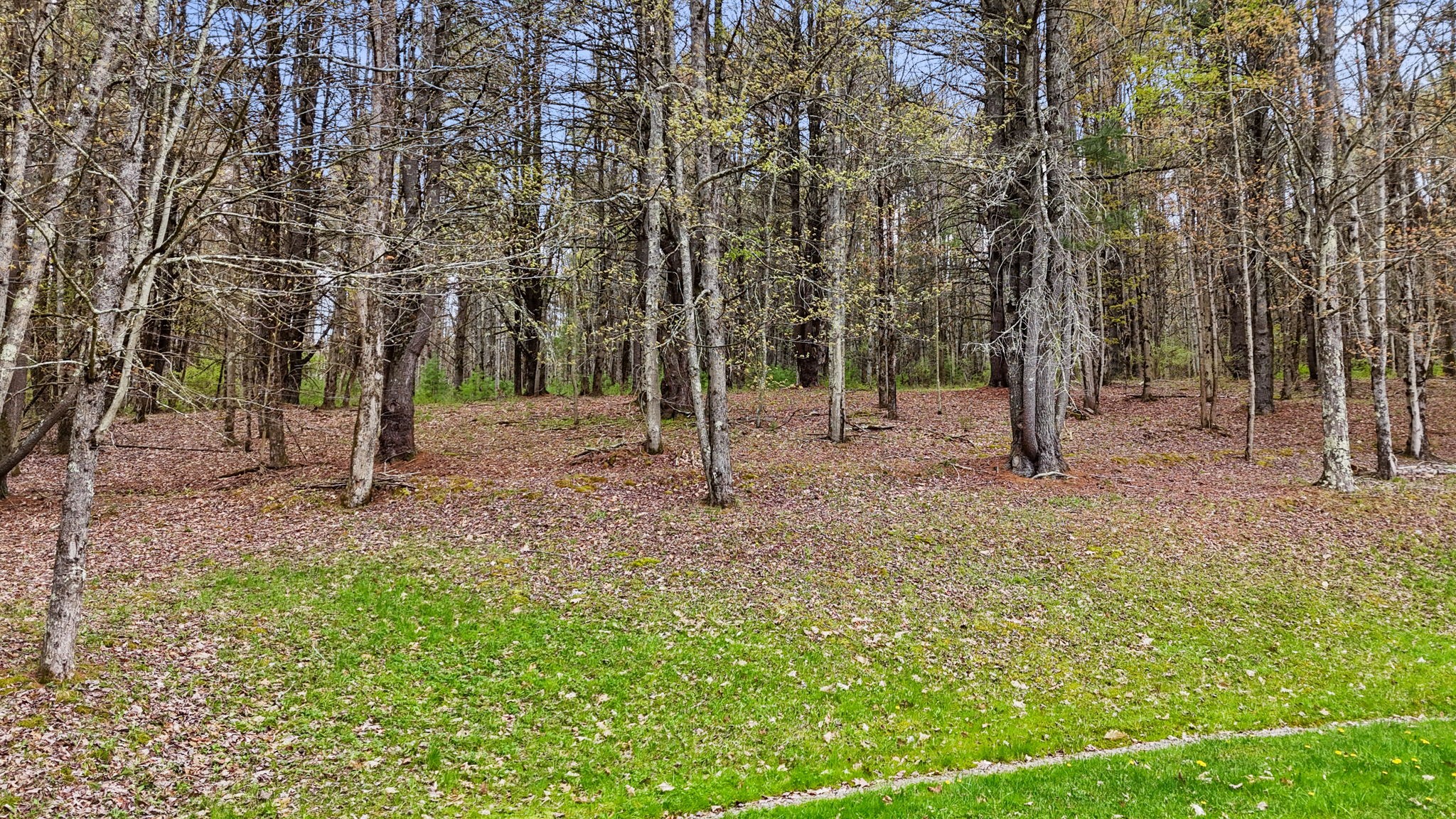 960 Long Creek Road Apalachin, NY 13732 - Photo 8 of 42