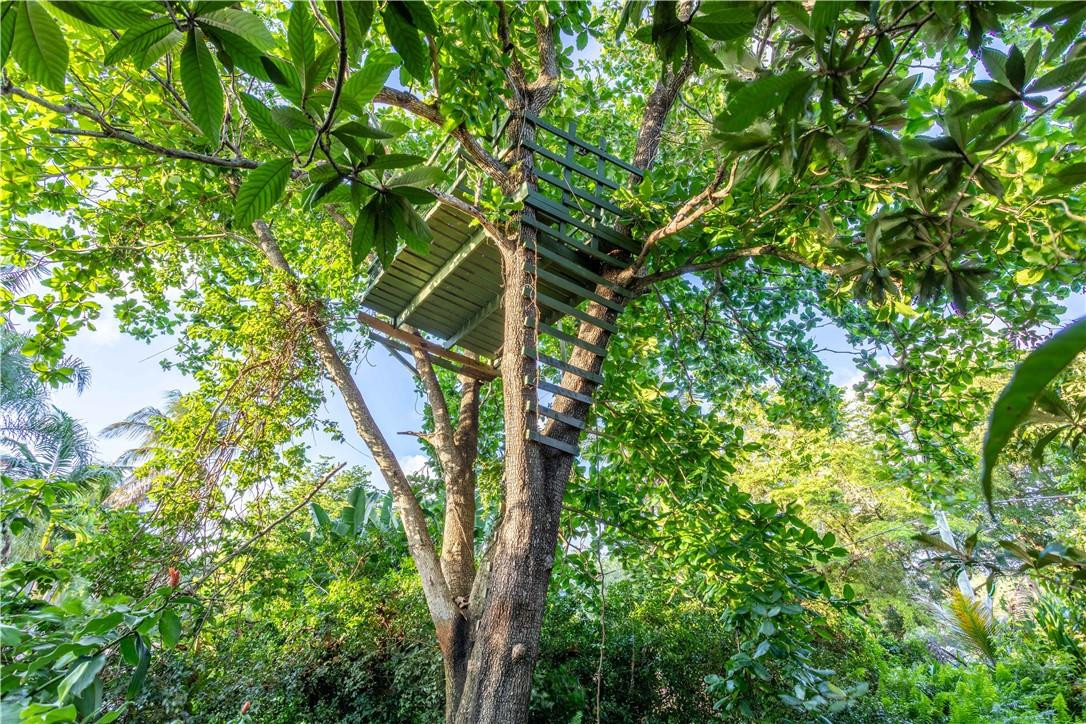 5901 Cypress Road Plantation, FL 33317 - Photo 88 of 99 a backyard of a house with lots of green space