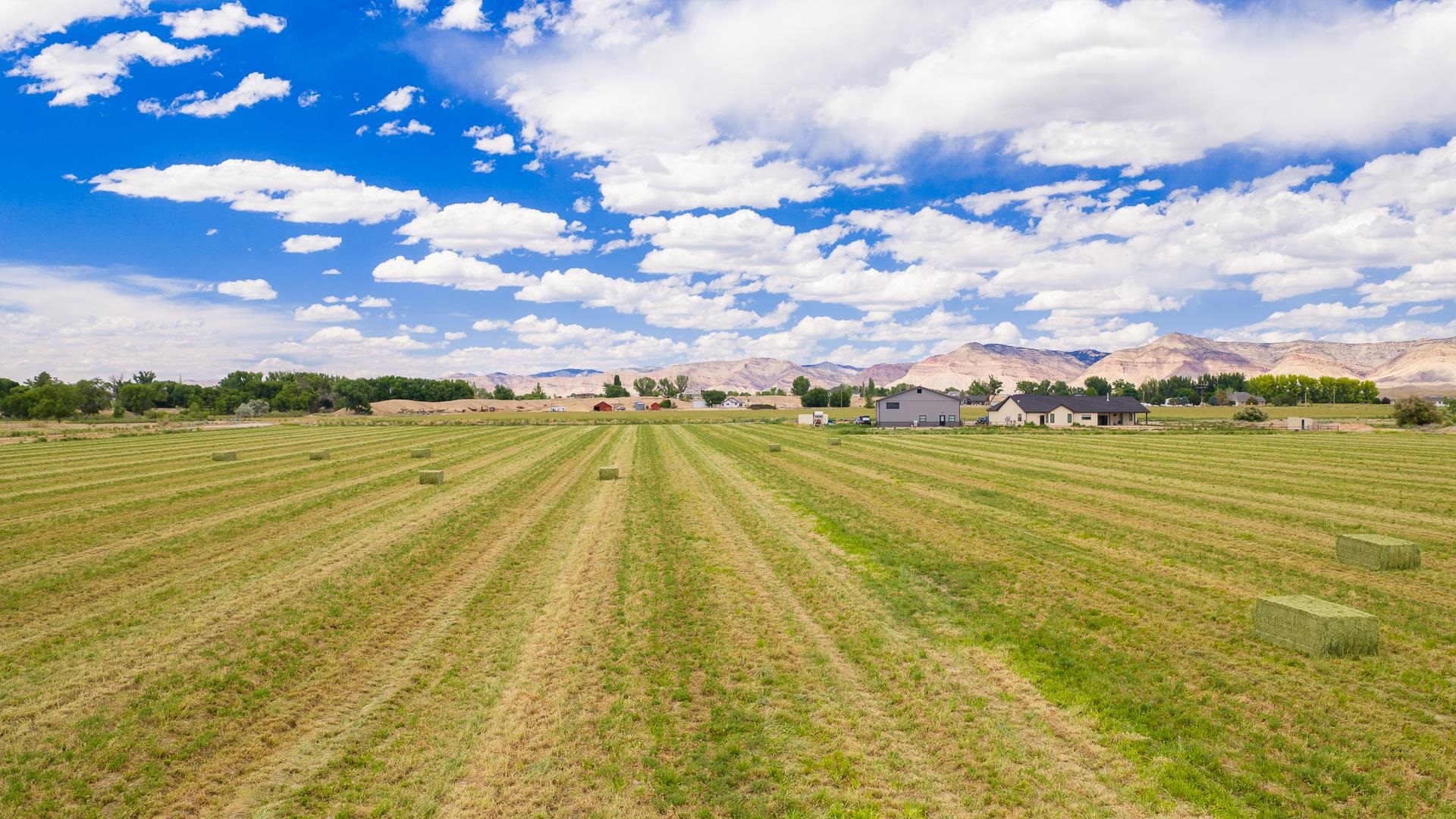 1063 24 Road Grand Junction, CO 81505 - Photo 14 of 14 Gallery Image 14