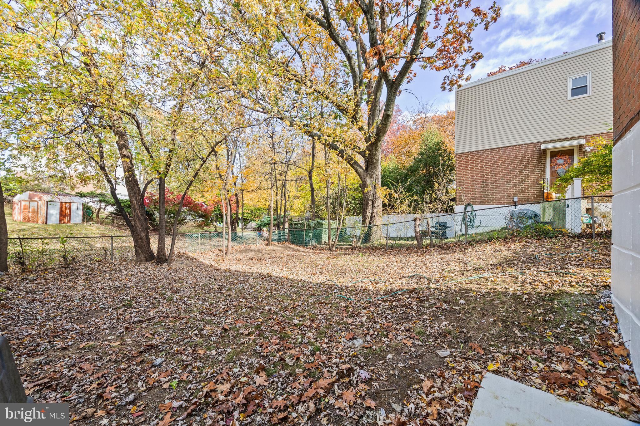 859 Selmer Road Philadelphia, PA 19116 - Photo 42 of 47 a view of a yard with plants and trees