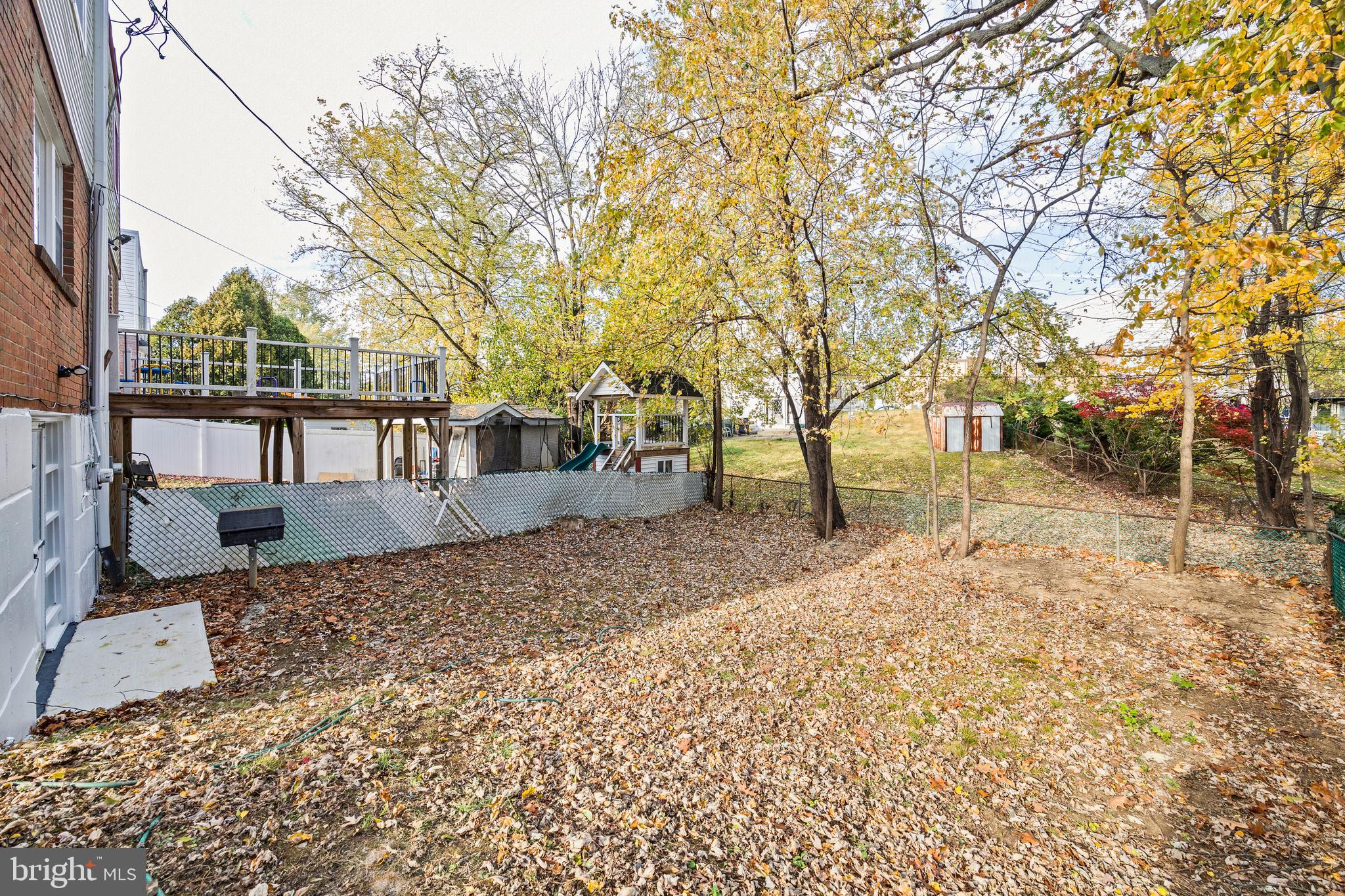 859 Selmer Road Philadelphia, PA 19116 - Photo 43 of 47 a view of a yard with plants and trees