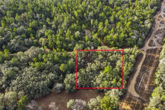 $14,900 | 115 South Crestview Avenue, Inverness, FL 34452