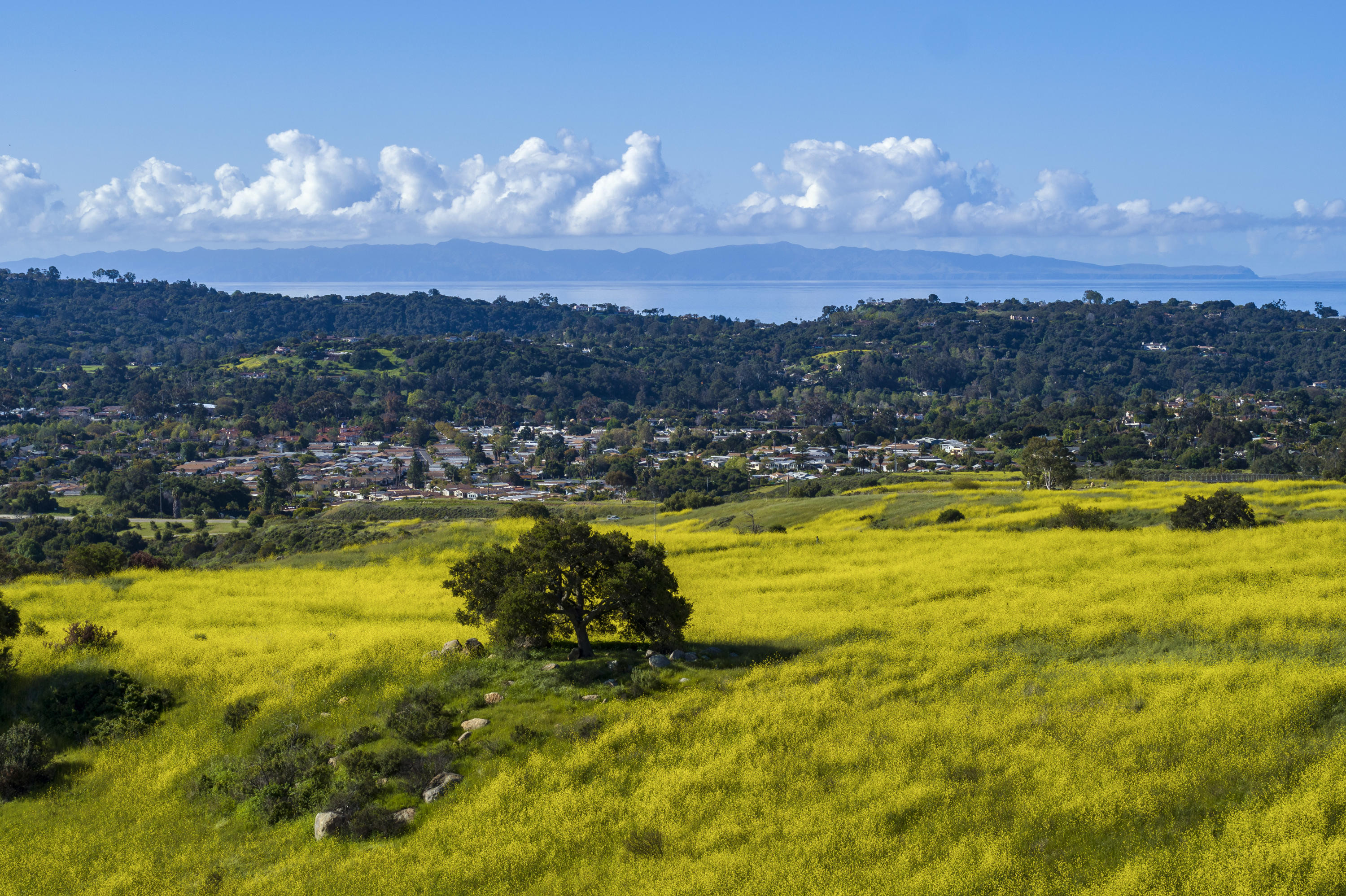 3965 Foothill Road, Unit B Santa Barbara, CA 93110 - Photo 24 of 29 San Marcos Preserve