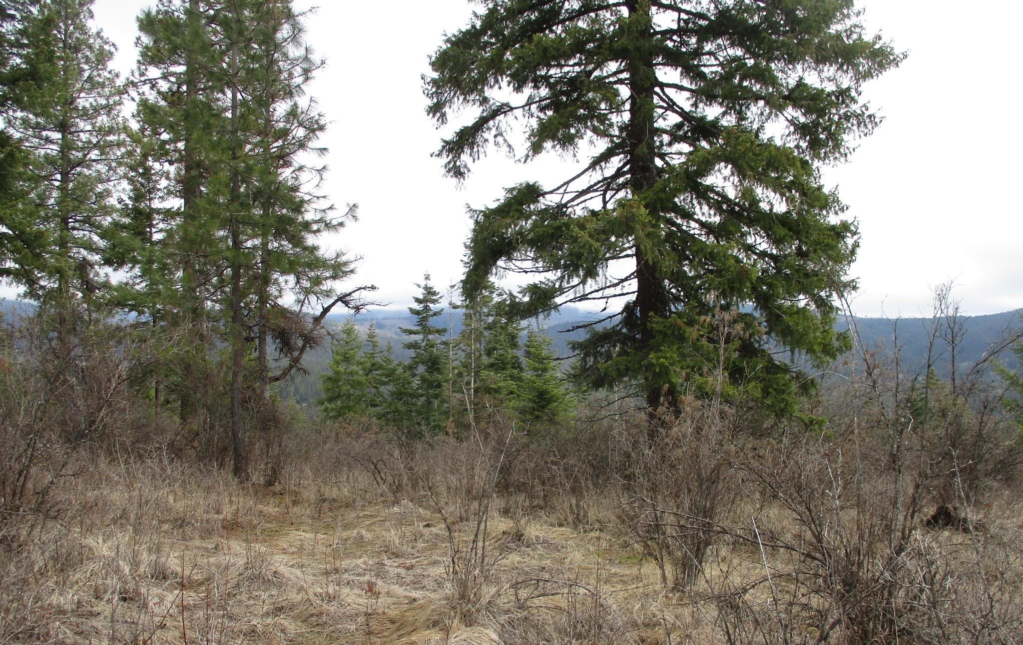 18-xxx East Miner Road Mead, WA 99021 - Photo 24 of 40