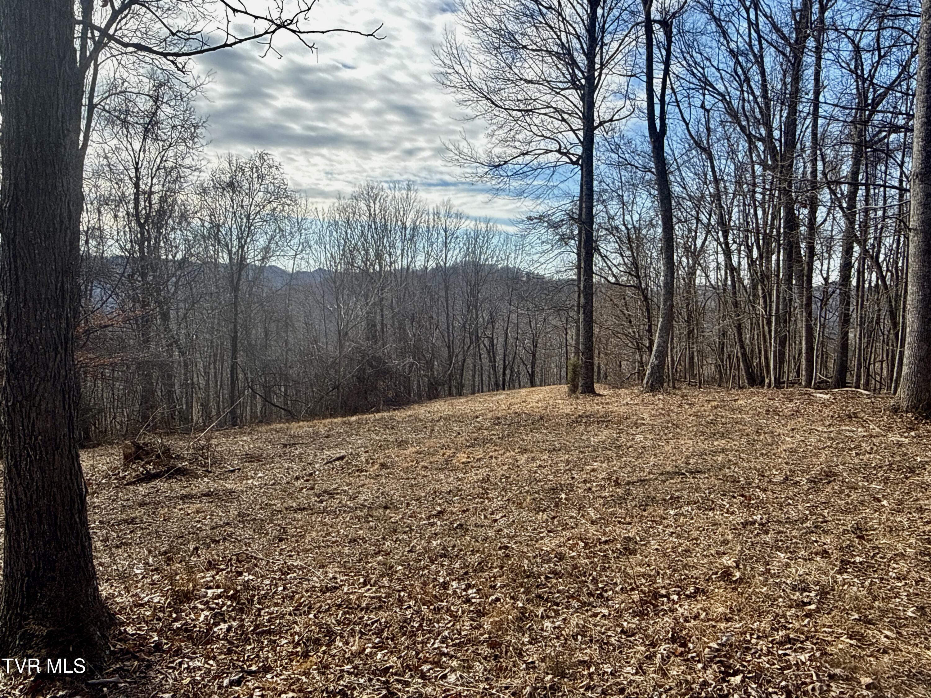 219 Ridge Road Eidson, TN 37731 - Photo 46 of 72 _Pic36 (22)
