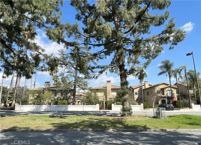 a view of a yard with palm trees