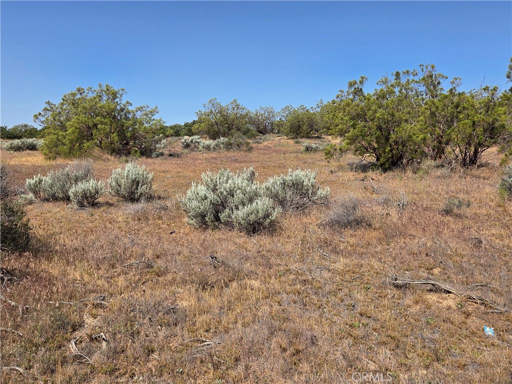 56941 Cain Road Anza, CA 92539 - Photo 11 of 17