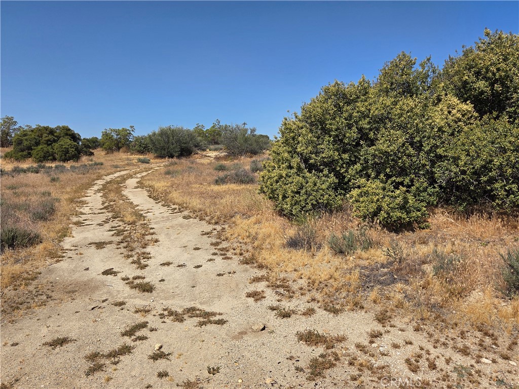 56941 Cain Road Anza, CA 92539 - Photo 12 of 17