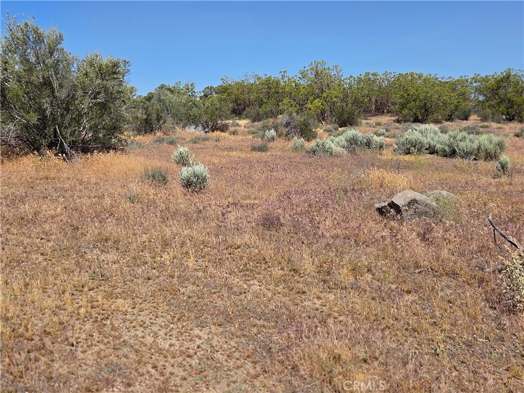 56941 Cain Road Anza, CA 92539 - Photo 14 of 17