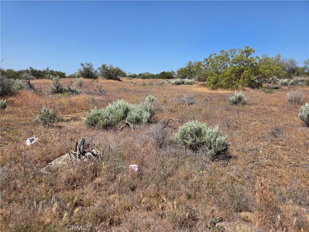 56941 Cain Road Anza, CA 92539 - Photo 15 of 17