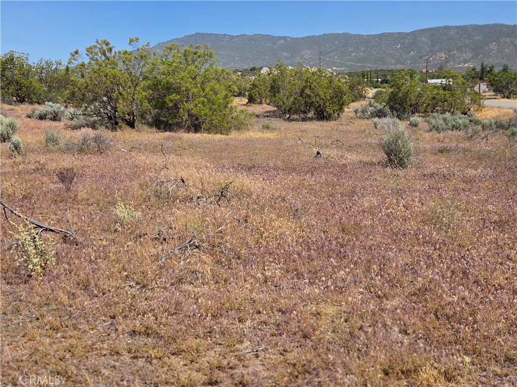 56941 Cain Road Anza, CA 92539 - Photo 2 of 17