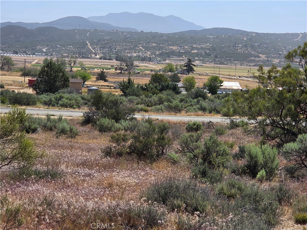 56941 Cain Road Anza, CA 92539 - Photo 3 of 17