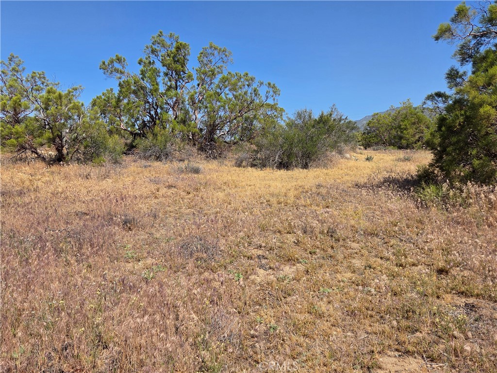 56941 Cain Road Anza, CA 92539 - Photo 4 of 17